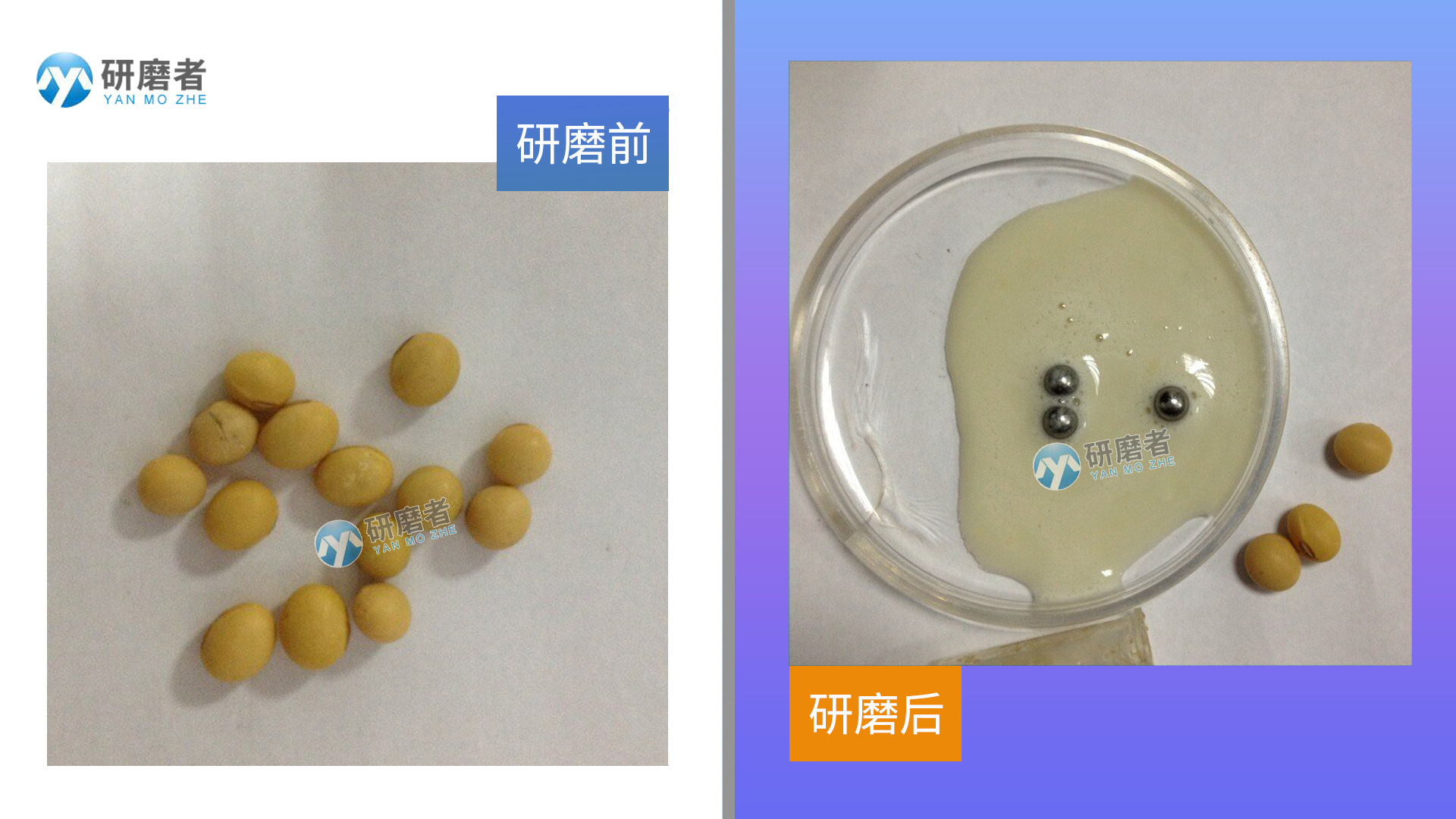 多樣品組織研磨機研磨圖